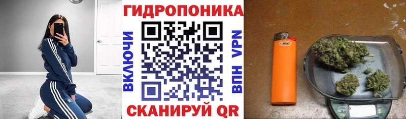 магазин наркотиков даркнет официальный сайт Бошки Шишки White Widow Лодейное Поле